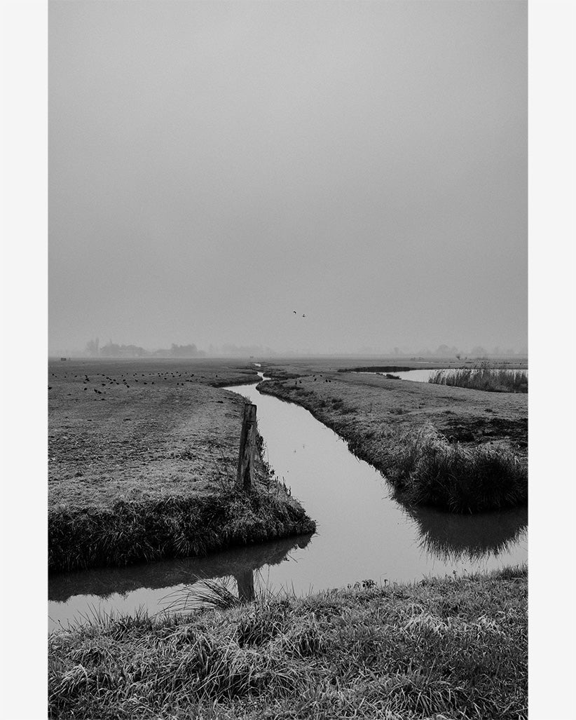 2021 No. 1 Fine Art Print