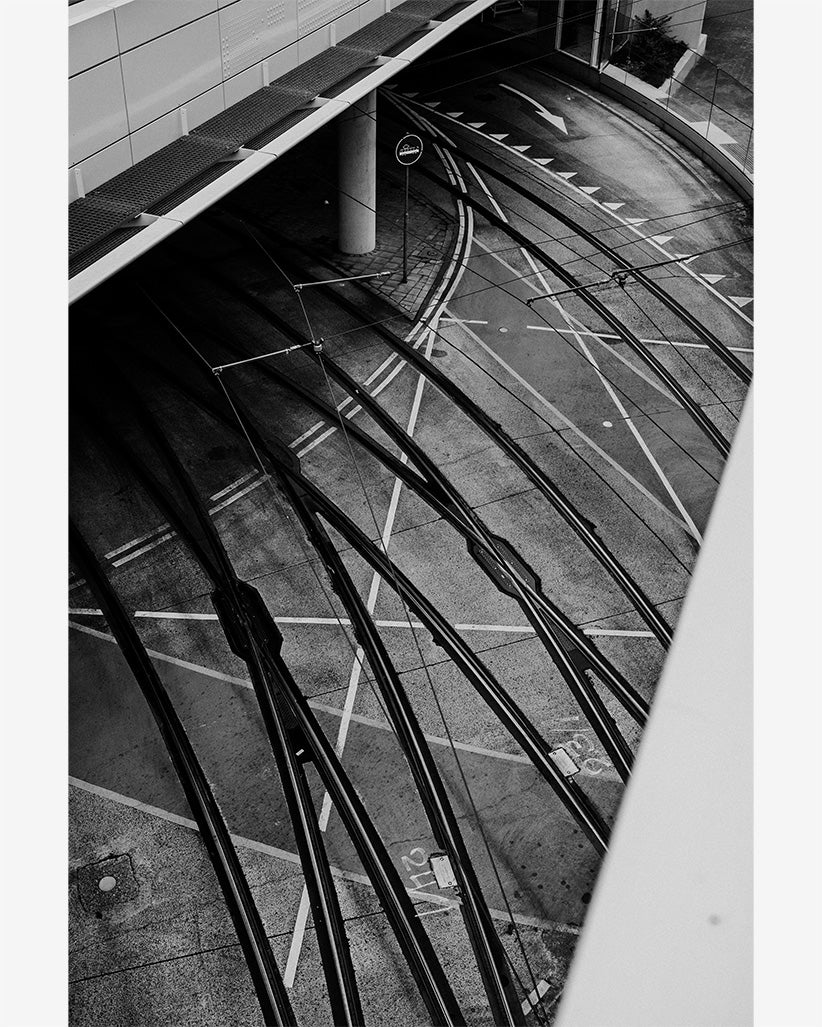 2021 No. 3 Fine Art Print
