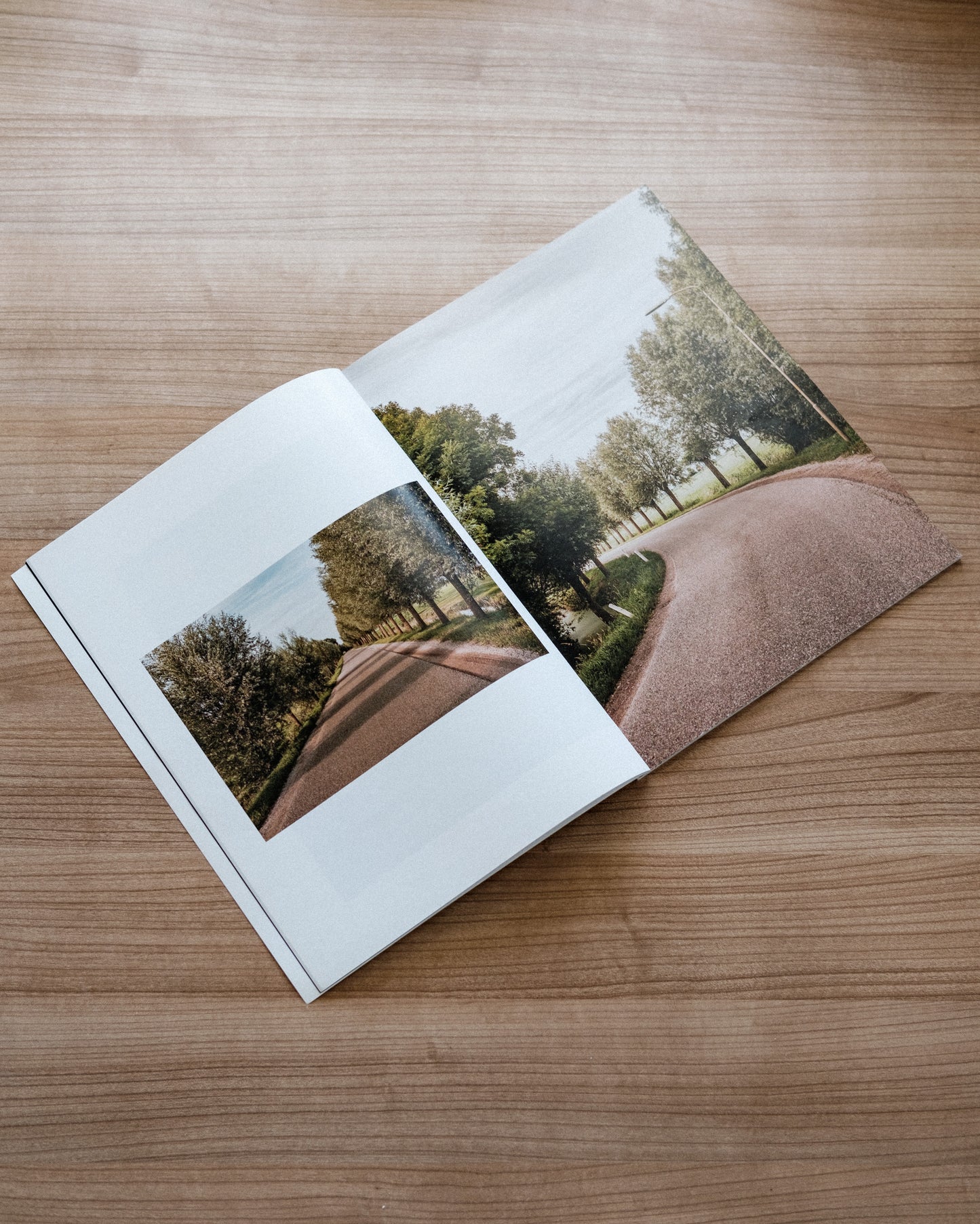 The Silence Around (Zine)