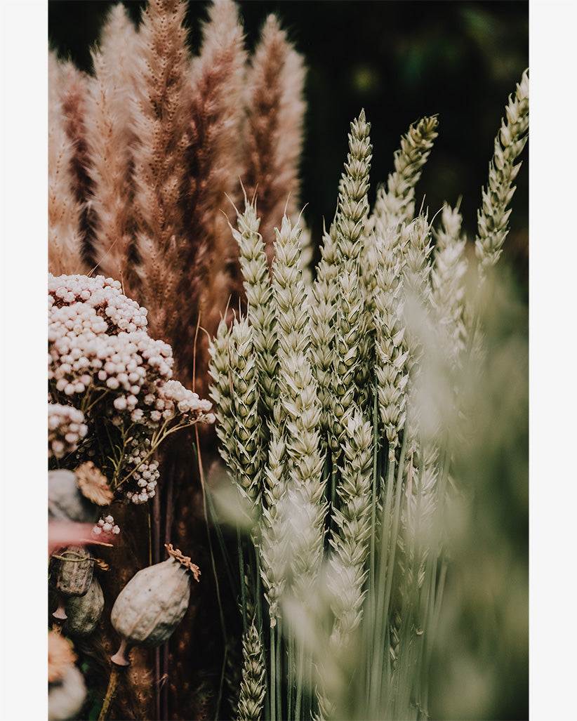 2020 No. 5 Fine Art Print