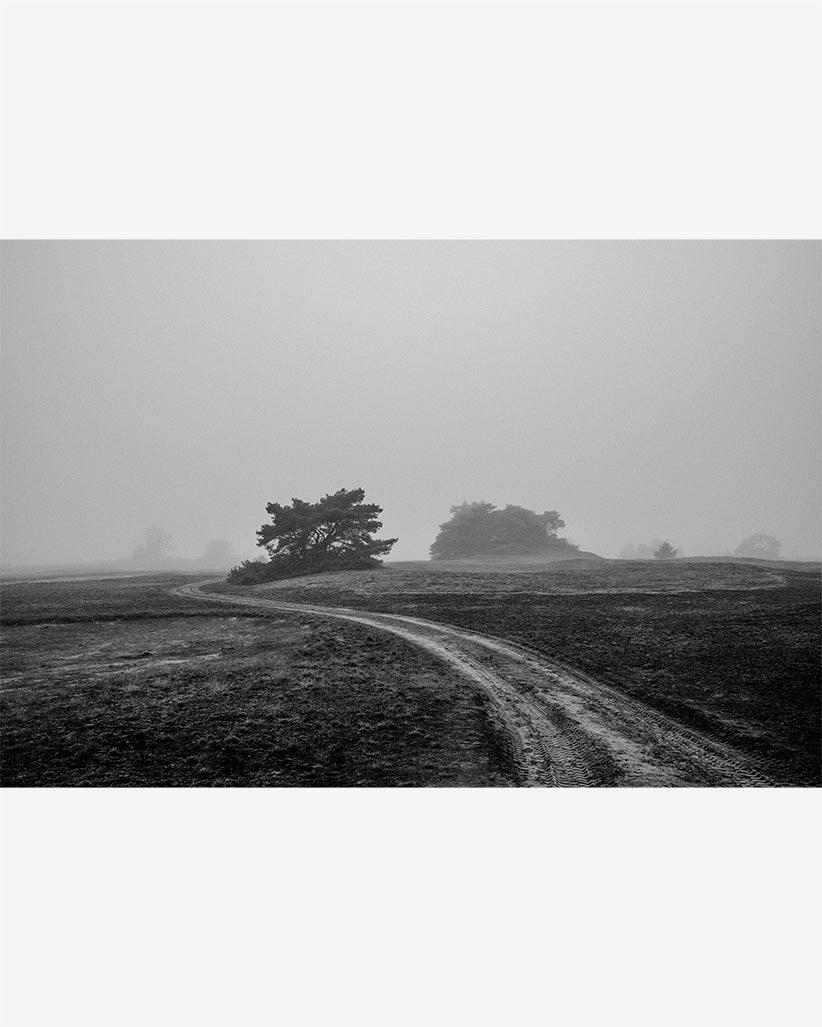2020 No. 7 Fine Art Print