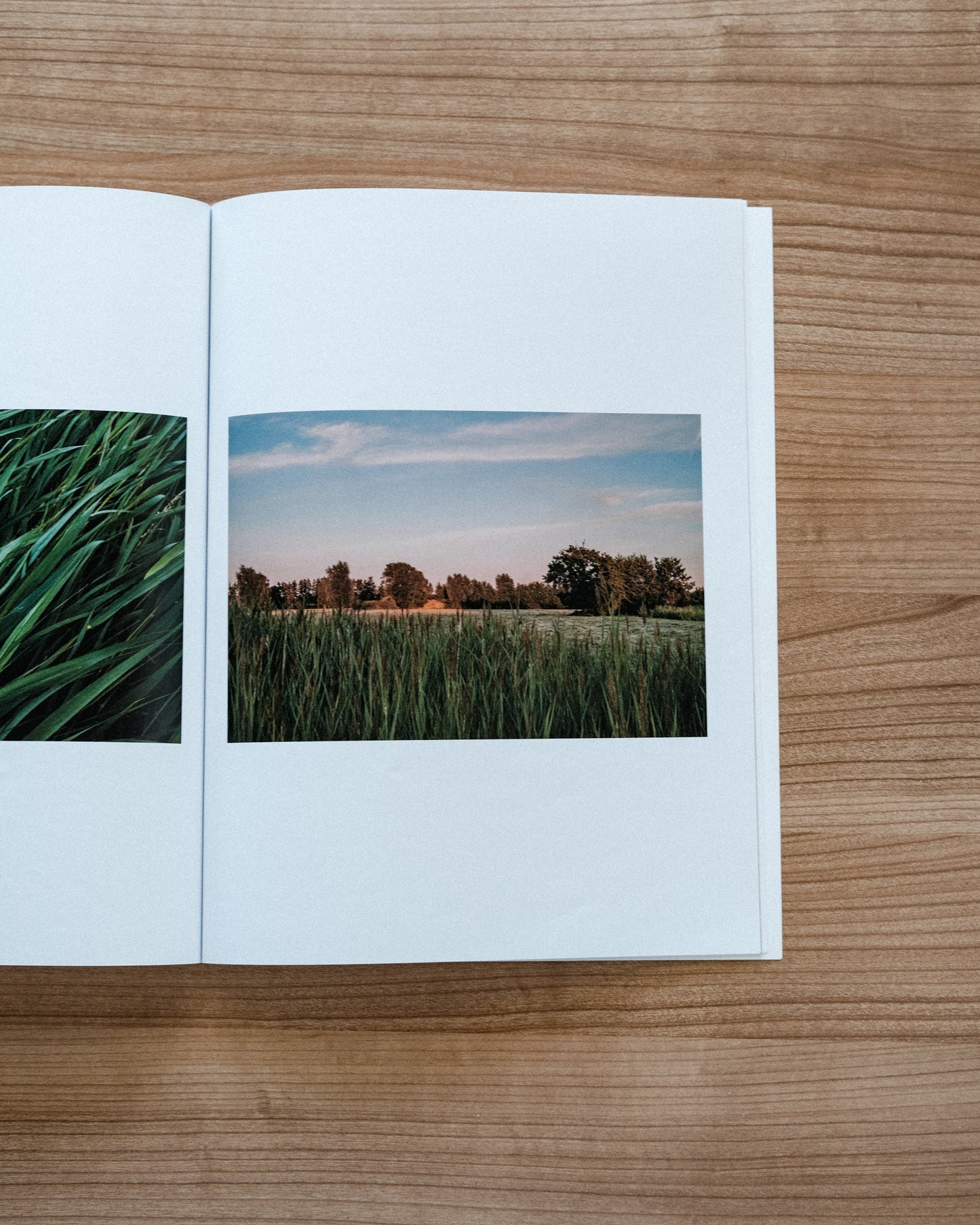 The Silence Around (Zine)