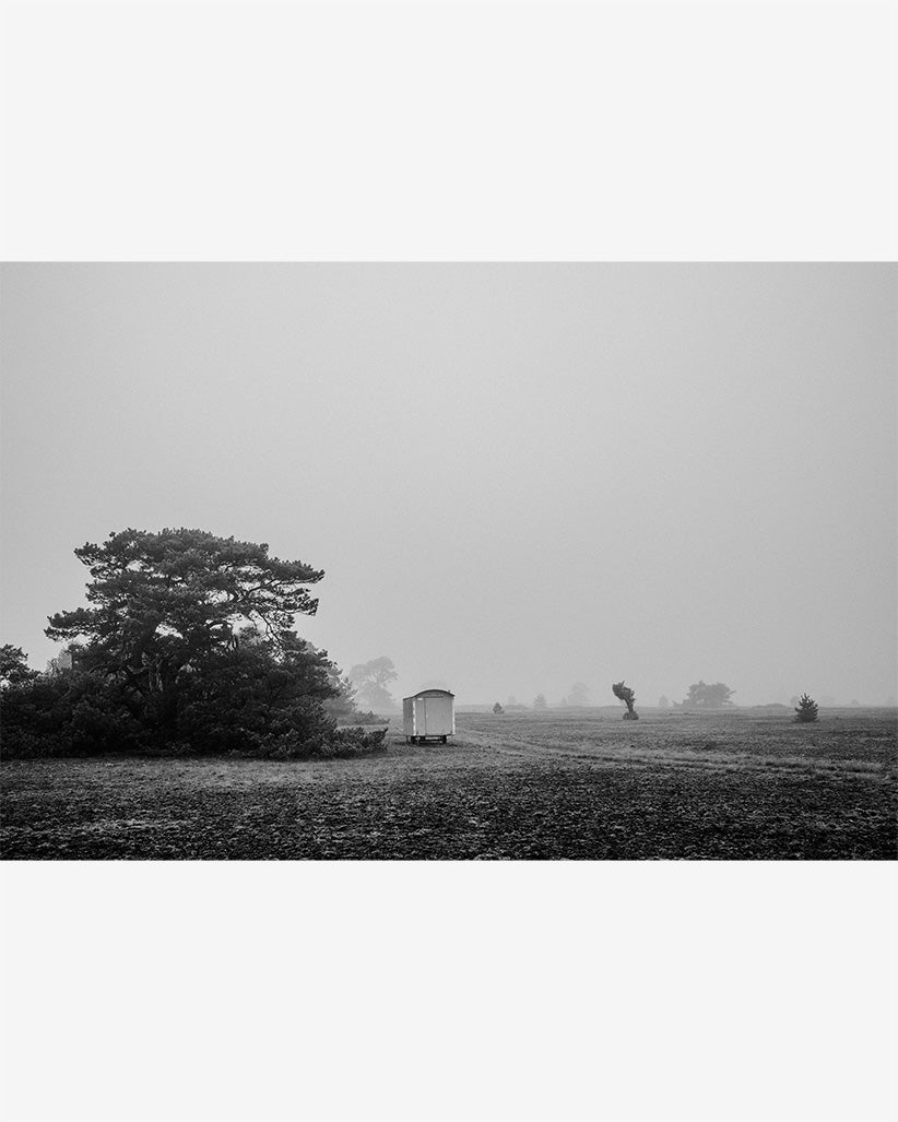 2020 No. 8 Fine Art Print
