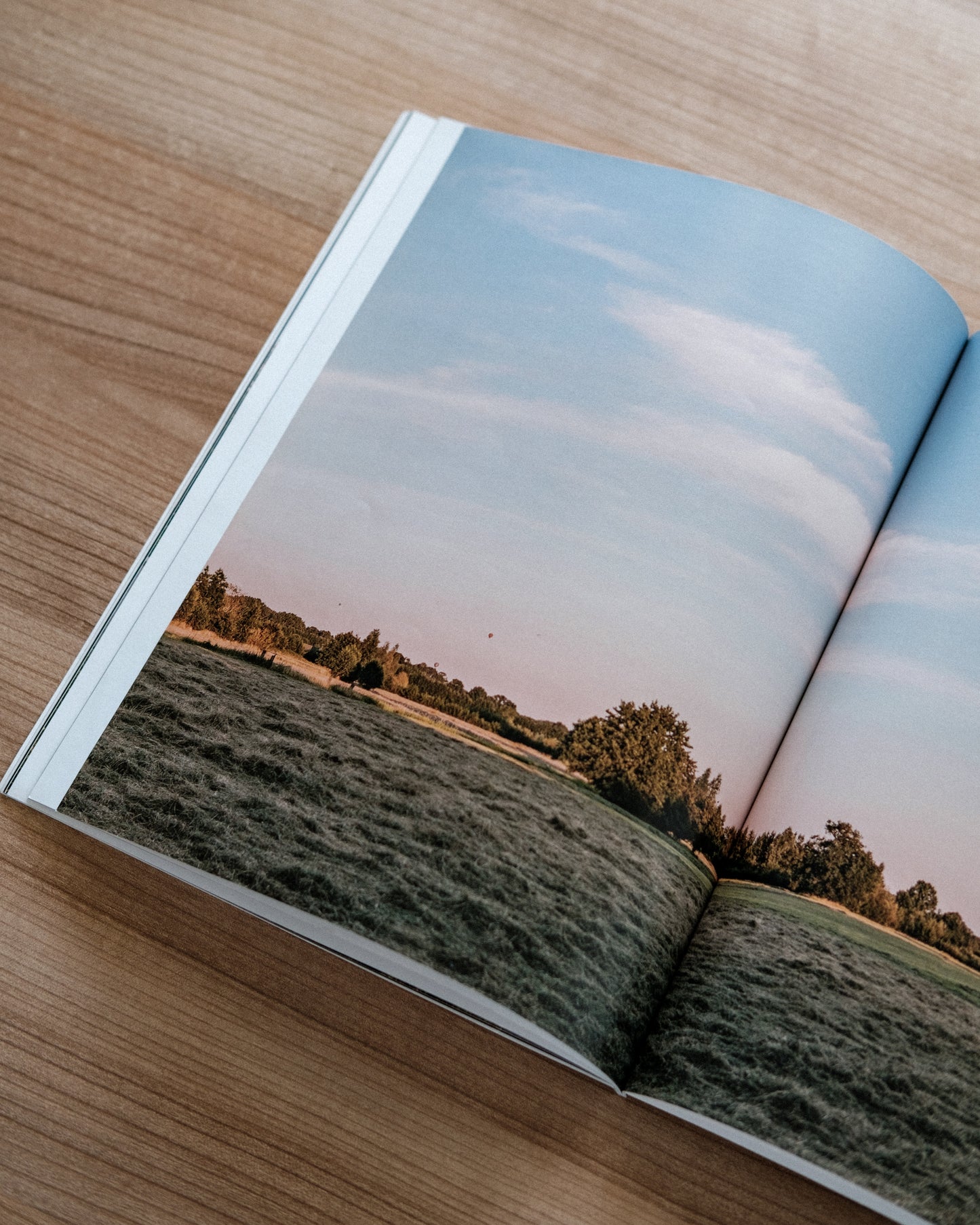 The Silence Around (Zine)