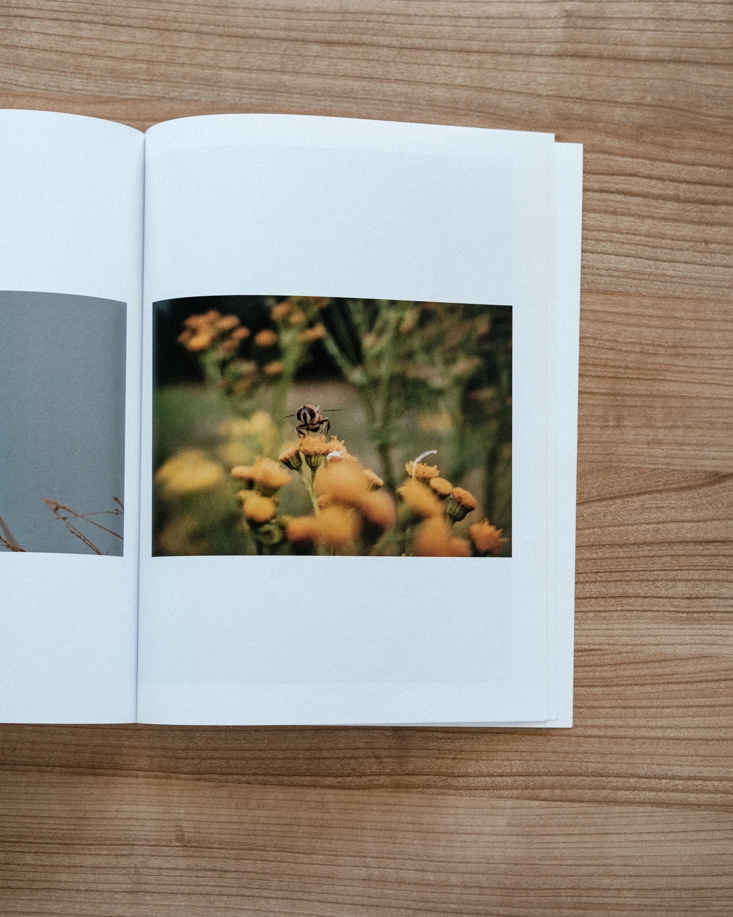 The Silence Around (Zine)