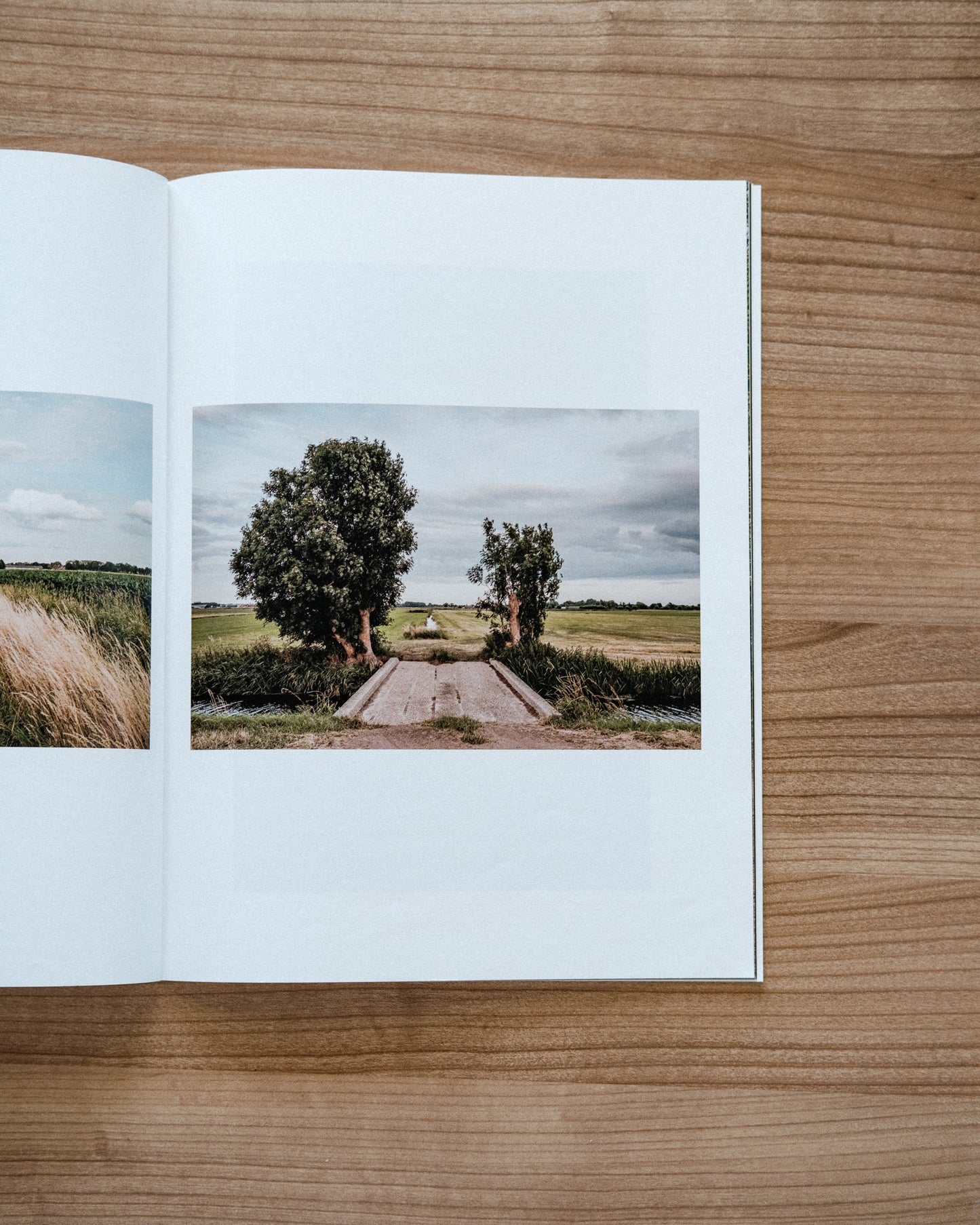 The Silence Around (Zine)