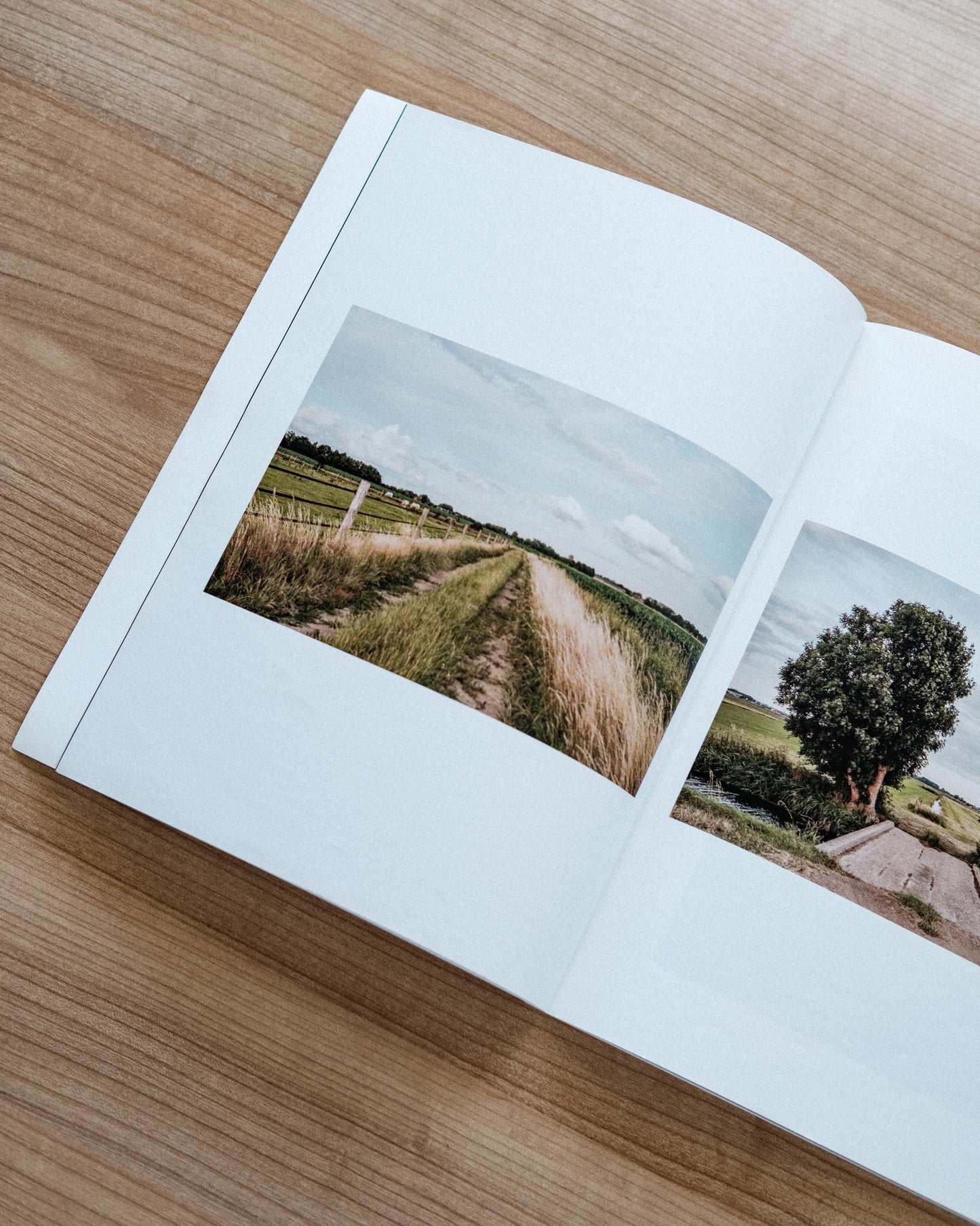 The Silence Around (Zine)