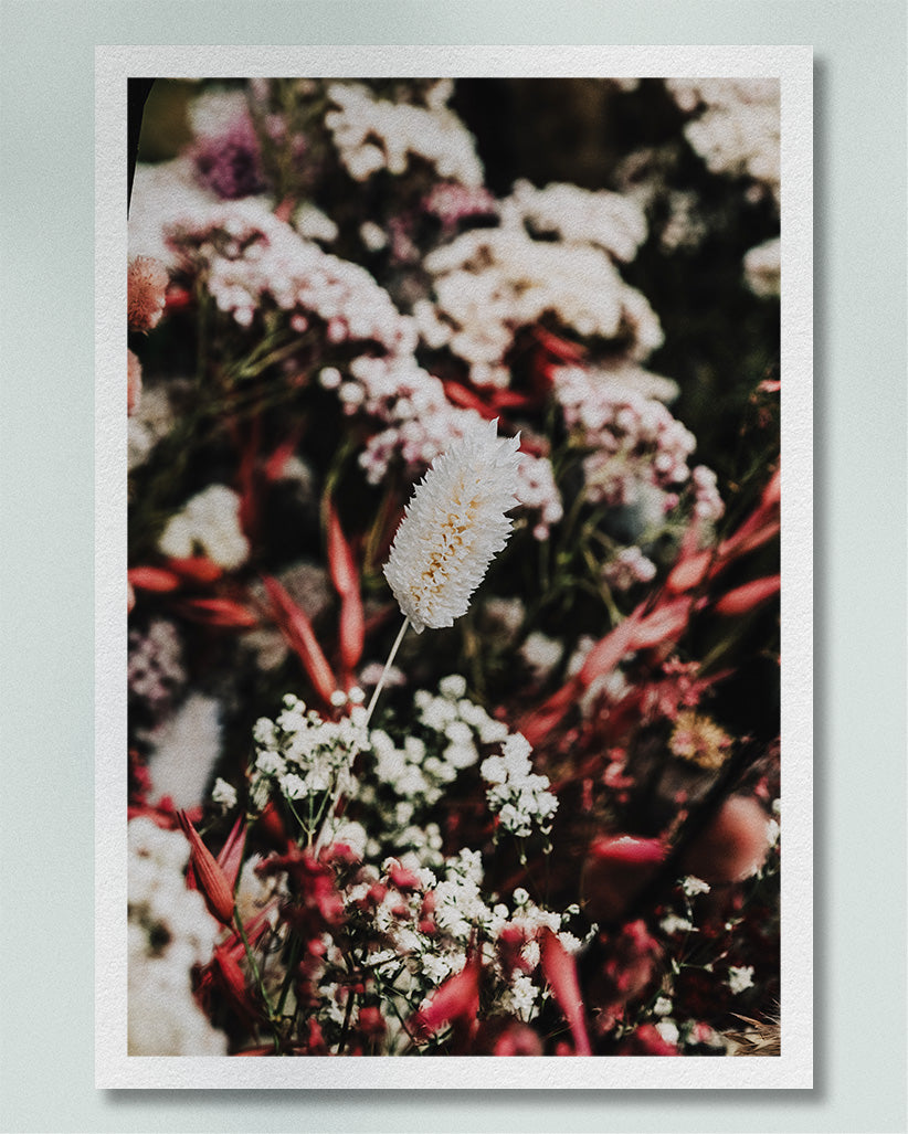 2020 No. 1 Fine Art Print