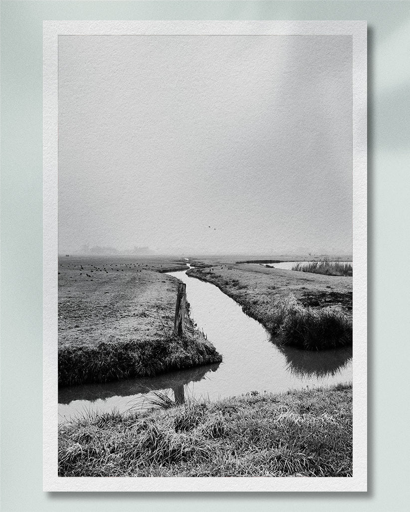 2021 No. 1 Fine Art Print
