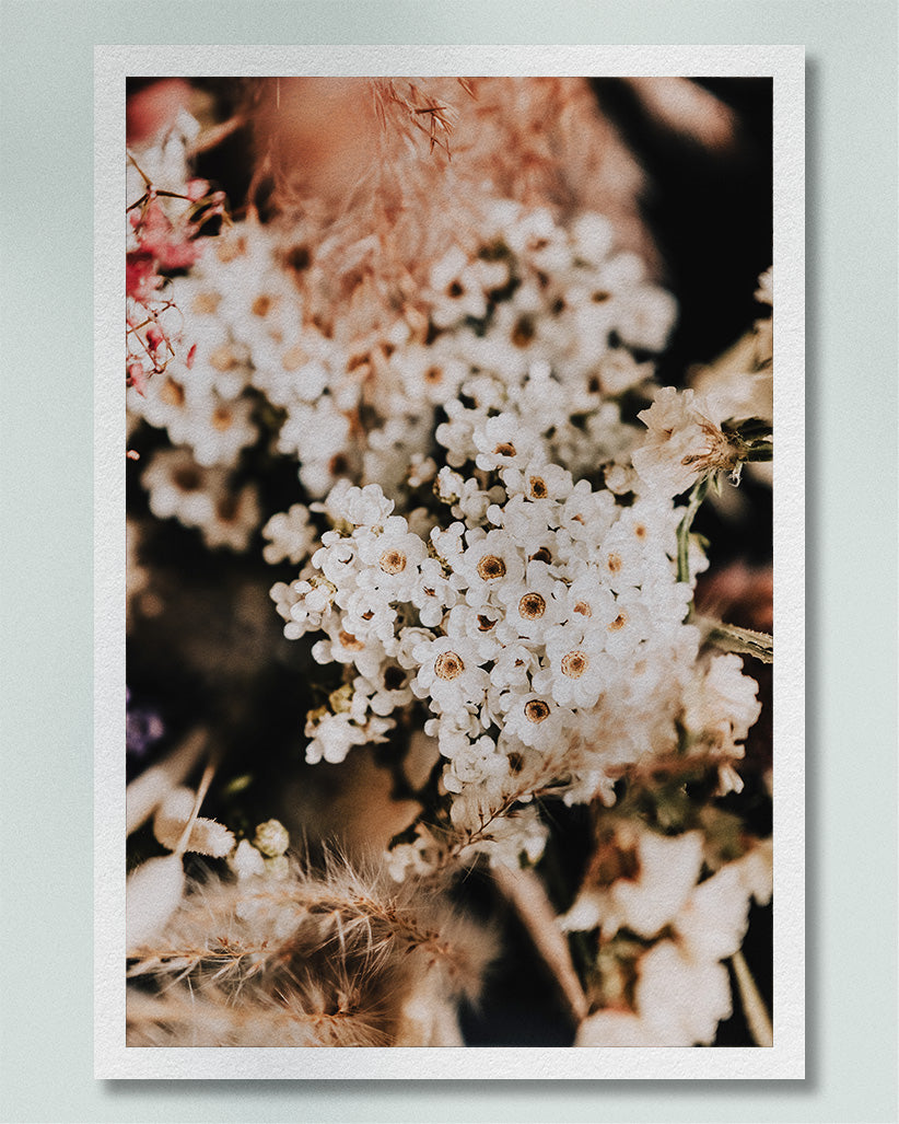 2020 No. 4 Fine Art Print