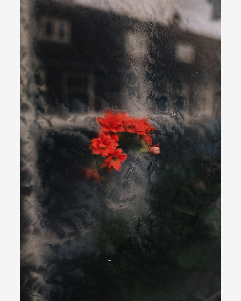 2023 No. 4 Fine Art Print