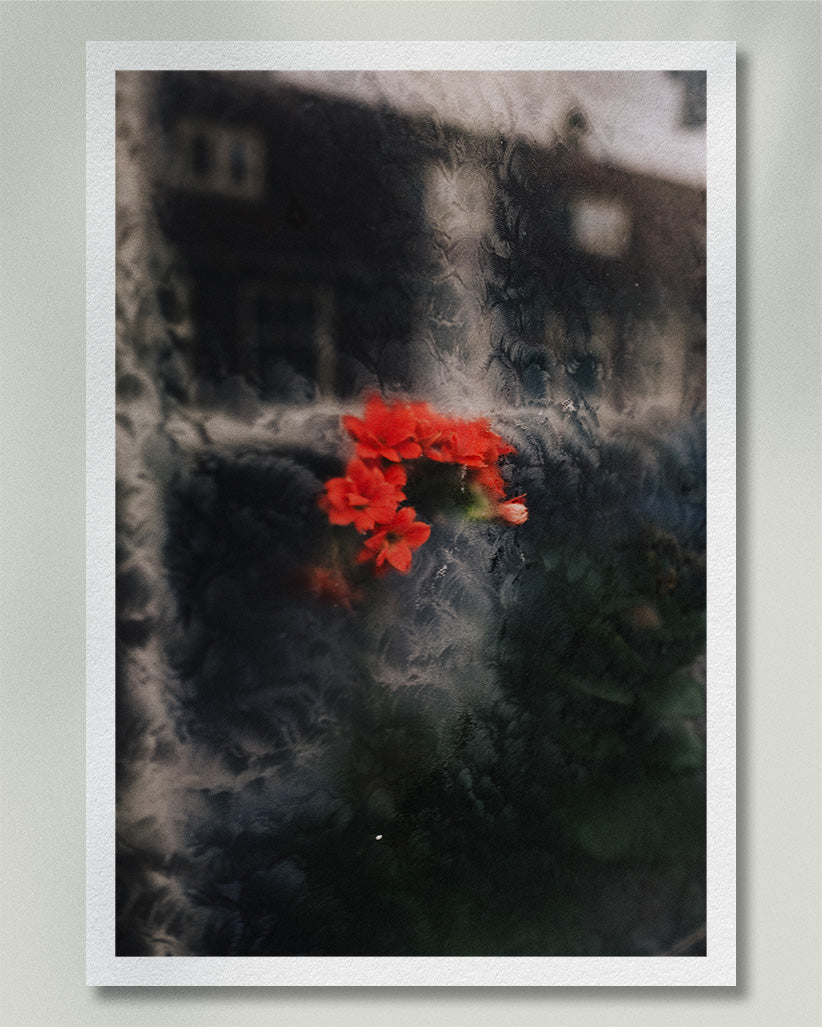 2023 No. 4 Fine Art Print