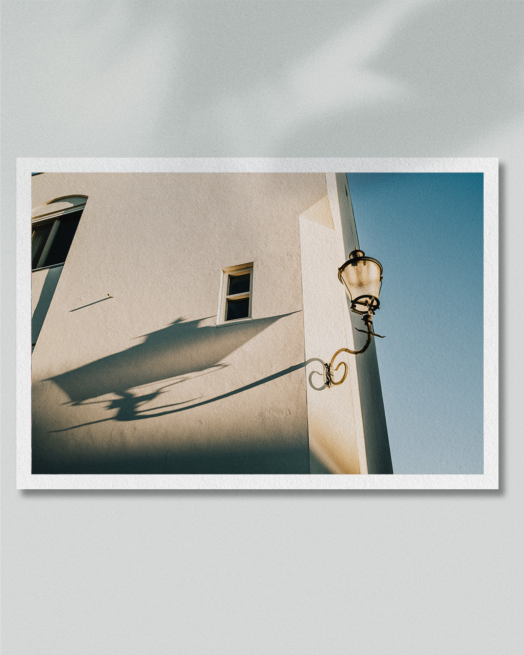 2022 No. 6 Fine Art Print