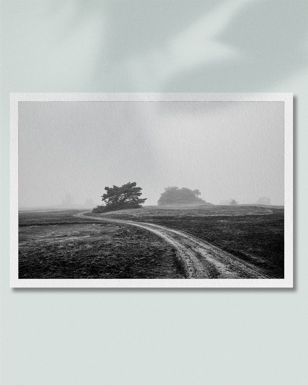 2020 No. 7 Fine Art Print