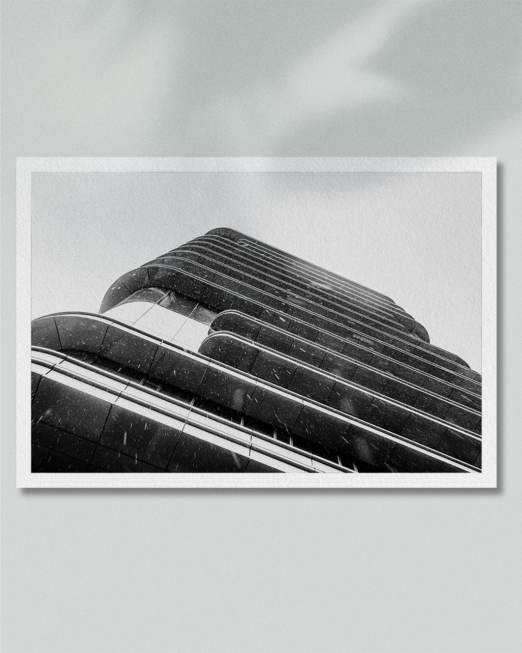 2021 No. 7 Fine Art Print