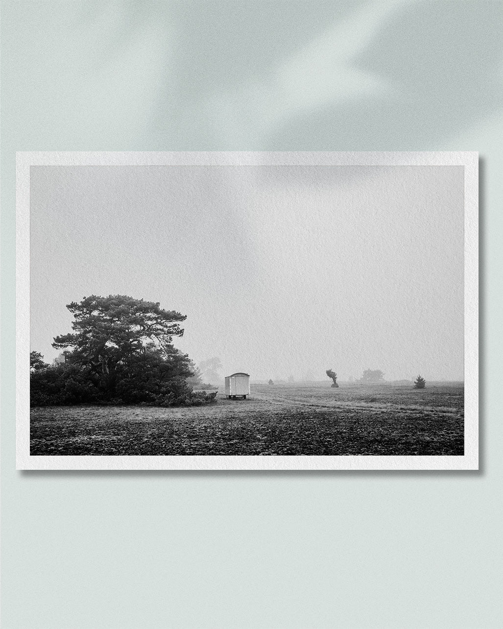 2020 No. 8 Fine Art Print