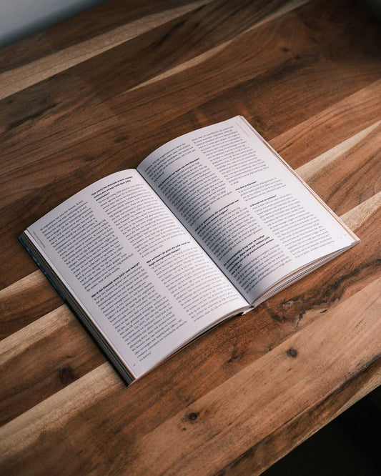 de Ontluiking (1st ed.)