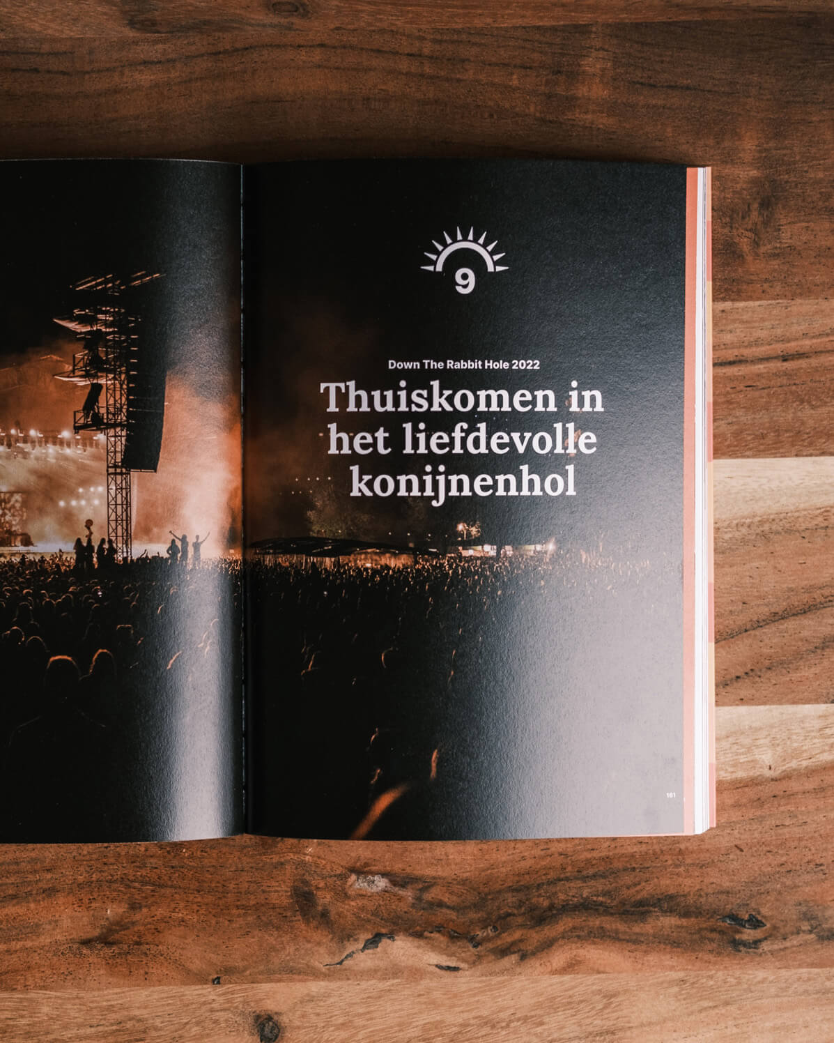 de Ontluiking (1st ed.)