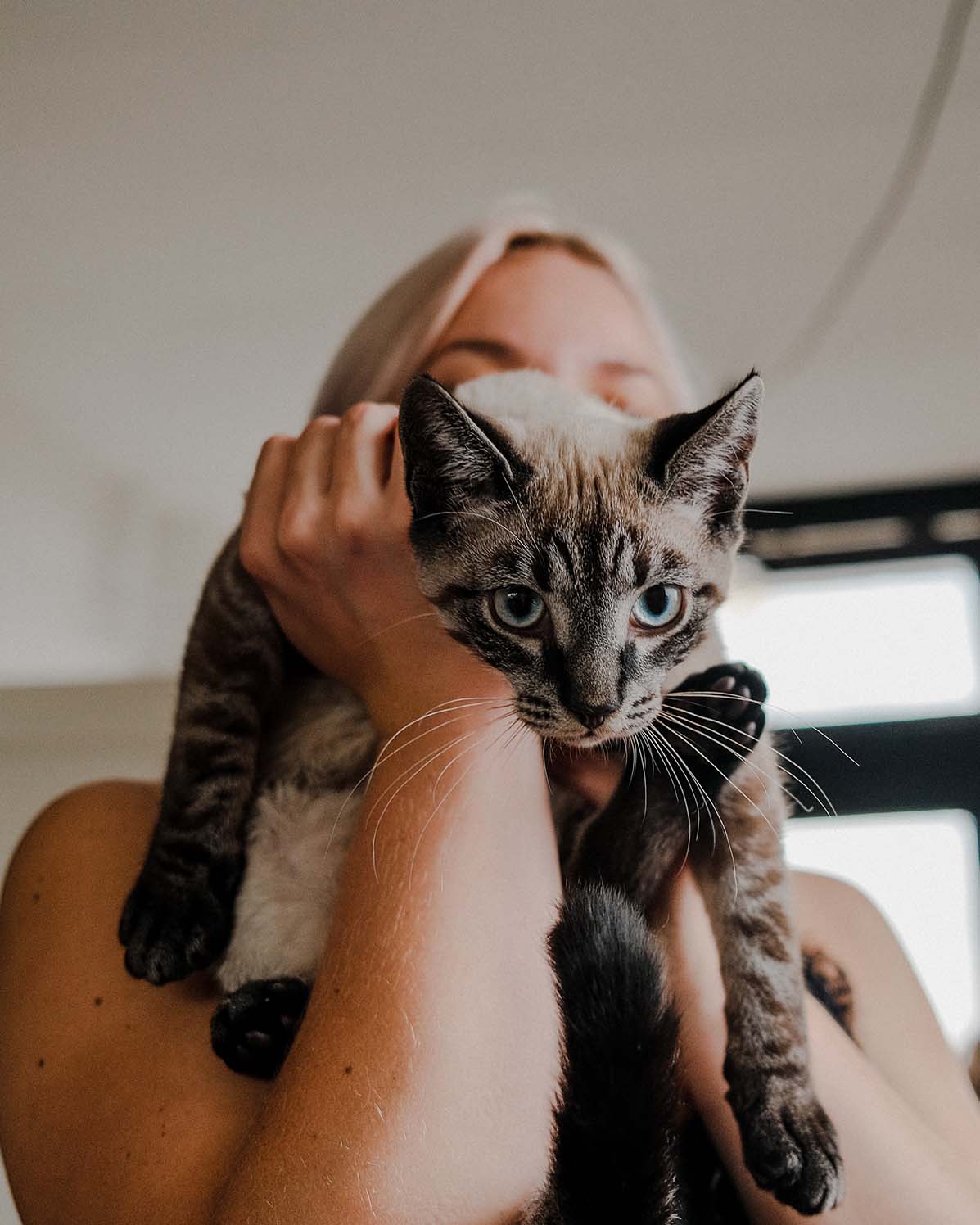 Pet Photography