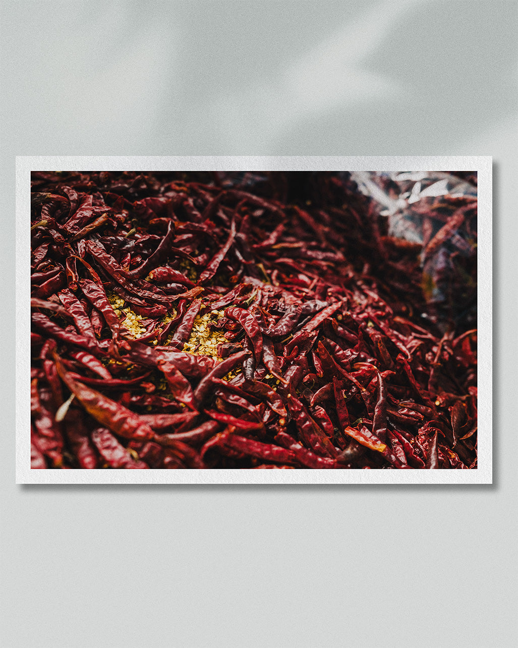 Framed presentation of a dense field of dried red chillies photographed in Phuket