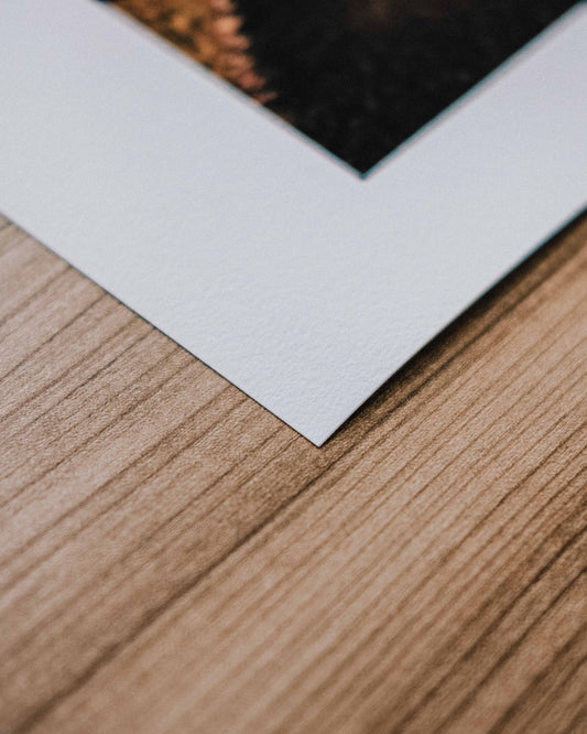 2020 No. 7 Fine Art Print